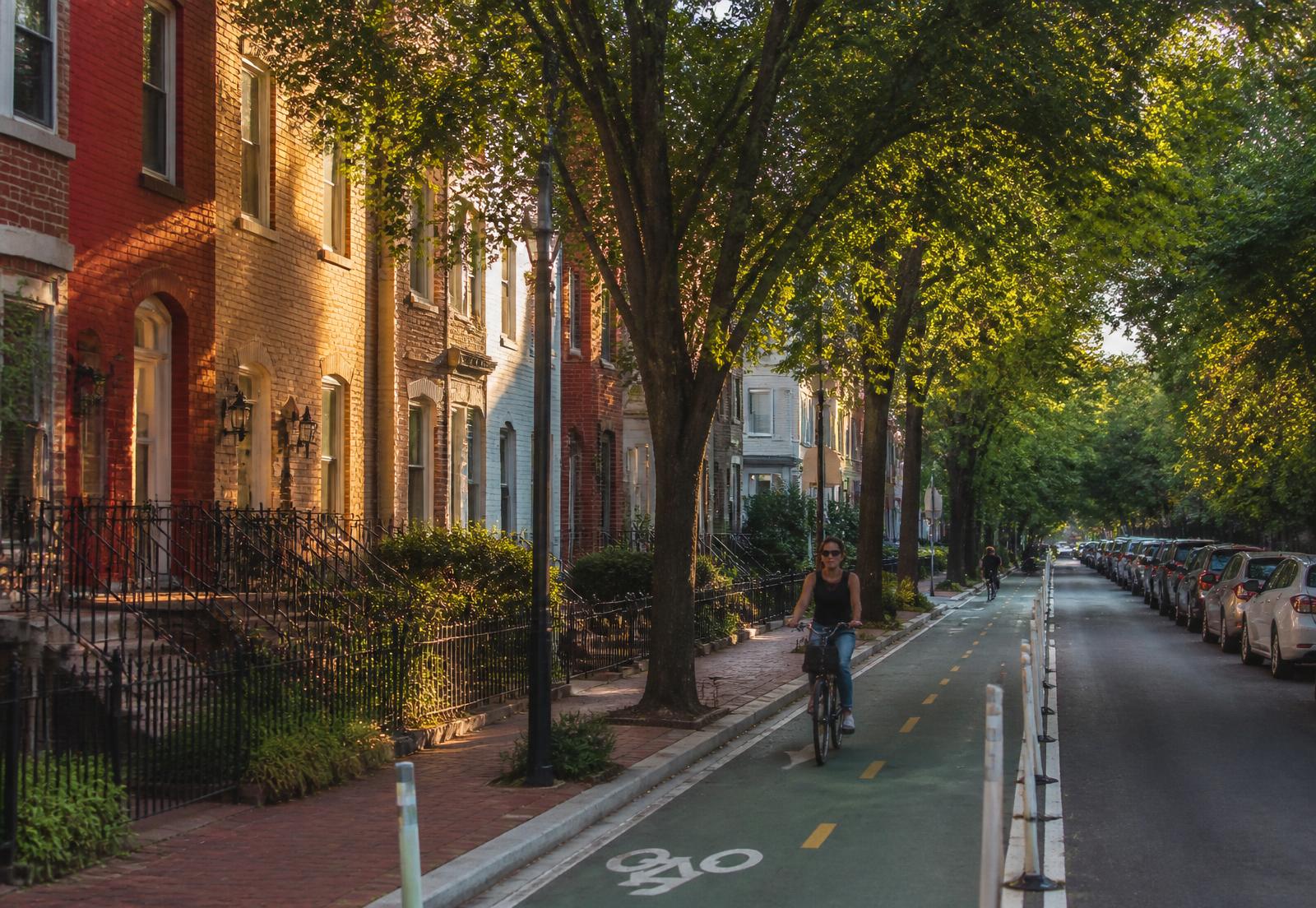 A quiet tree-canopied DC rowhouse street with a protected green bike lane at golden hour